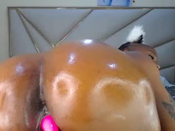 driipp 254