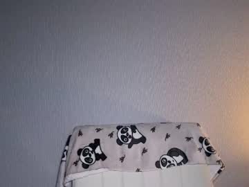 meowkiss 
